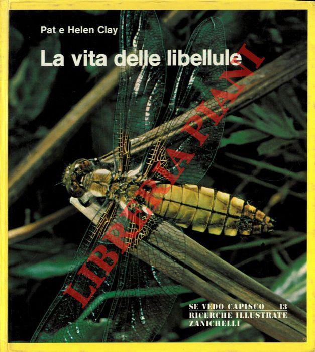 Libreria Controcorrente