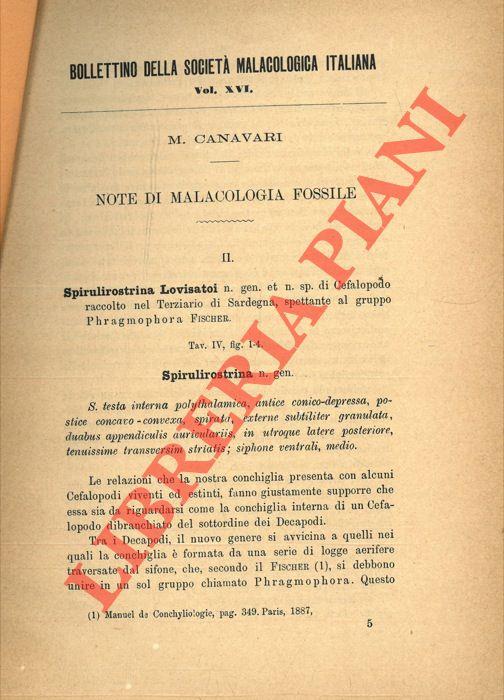 Libreria Piani