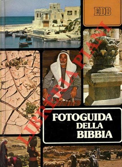 Fotoguida della Bibbia - David Alexander - copertina