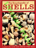 The encyclopedia of shells