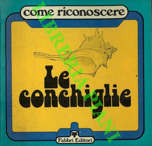 Come riconoscere le conchiglie - Ettore Tibaldi - copertina