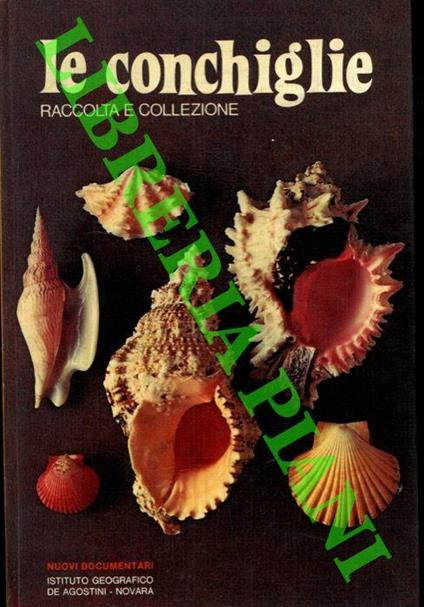 Le conchiglie. Raccolta e collezione - Sergio Angeletti - copertina