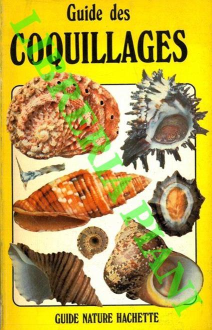 Coquillages - Graham D. Saunders - copertina