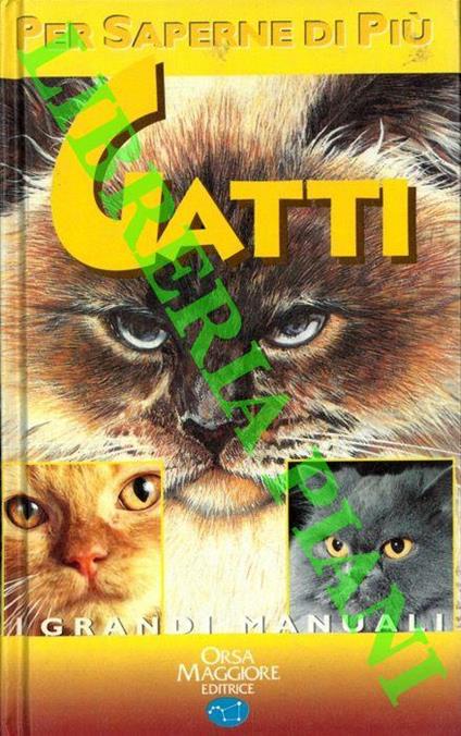 Gatti - Gino Pugnetti - copertina