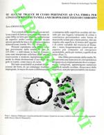 Su alcune tracce di cuoio pertinenti ad una fibbia per cingulum rinvenuta nella necropoli di Iutizzo di Codroipo