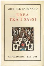 Erba tra i sassi