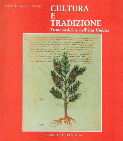 Cultura e tradizione : demomedicina nell'alta Umbria - copertina
