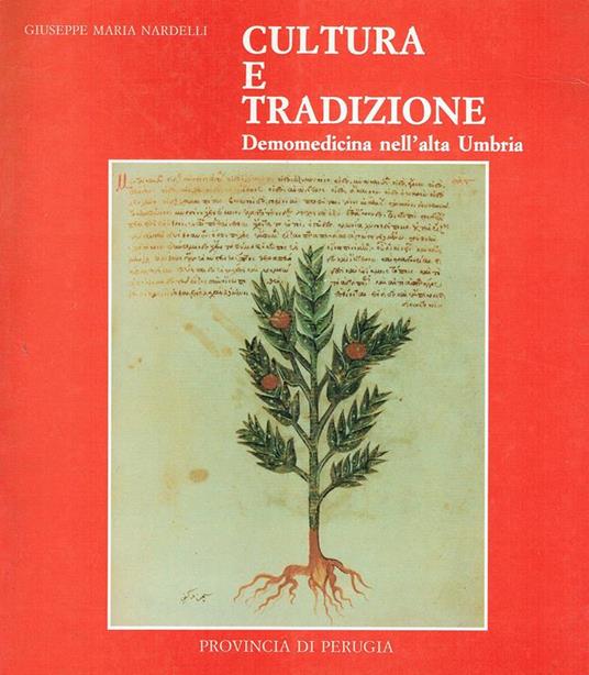 Cultura e tradizione : demomedicina nell'alta Umbria - copertina