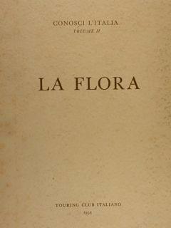 Editoriale Umbra