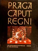 Praga Caput Regni. Les Monuments De Prague Et Ses Environs