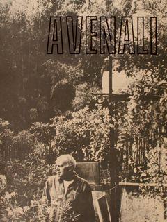 Avenali - Armando Ginesi - copertina