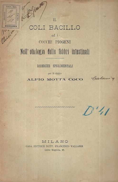 Biblioteca di Babele