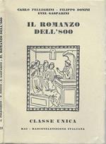 Il romanzo dell'800