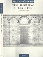 Pisa: Il rilievo della città