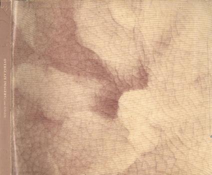 Overglaze imagery. Cone 019 - 016 - copertina