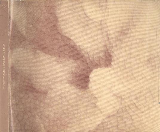 Overglaze imagery. Cone 019 - 016 - copertina