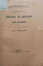 Contributo alla conoscenza del meccanismo di azione dell'antipirina