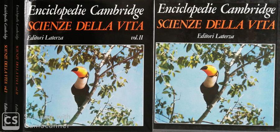 Biblioteca di Babele