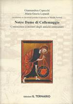 Notre Dame di Collemaggio. Conoscenze e misteri degli antichi costruttori