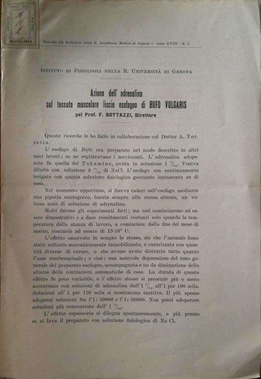 Azione dell'adrenalina sul tessuto muscolare liscio esofageo di Bufo Vulgaris - copertina