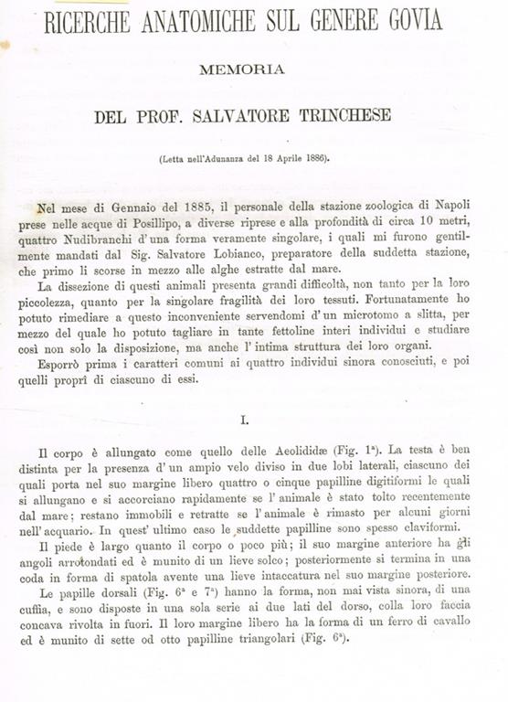 Biblioteca di Babele