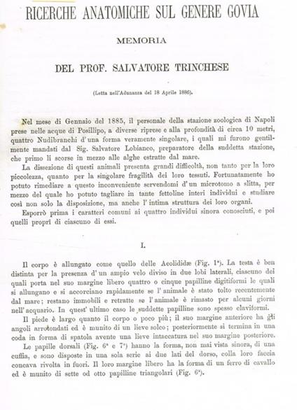 Ricerche anatomiche sul genere Govia. Estratto da Memorie della R.Accademia delle scienze dell'Istituto di Bologna anno 1886 tomo VII - Salvatore Trinchese - copertina