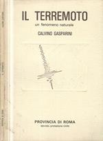 Il terremoto in Italia. Cause, salvaguardia, interventi
