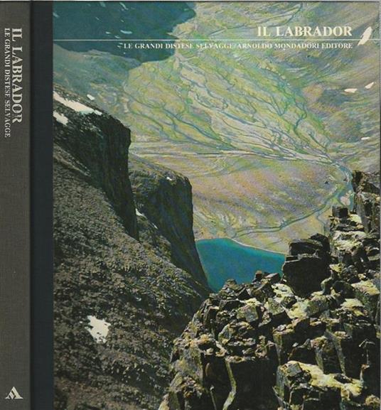 Il Labrador - Robert Stewart - copertina