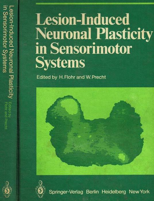 Lesion-induced neuronal plasticity in sensorimotor systems - H. Flohr - copertina