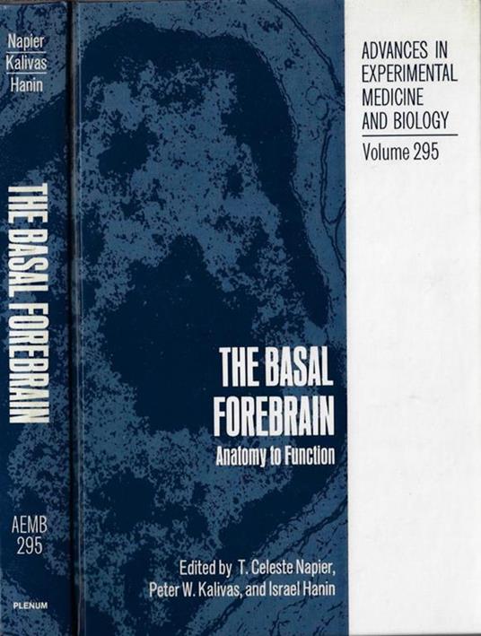 The basal forebrain. Anatomy to function - copertina