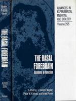 The basal forebrain. Anatomy to function