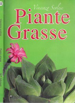 Piante grasse - Vincenzo Scalese - copertina
