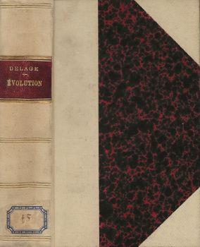 Biblioteca di Babele