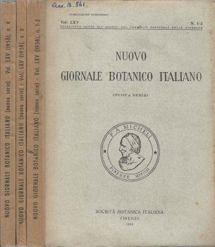 Biblioteca di Babele
