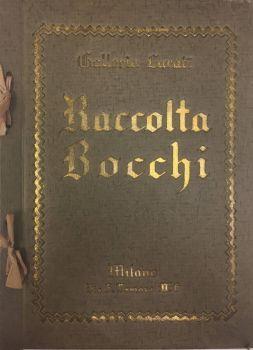 Catalogo della vendita all'asta della Raccolta Bocchi - copertina
