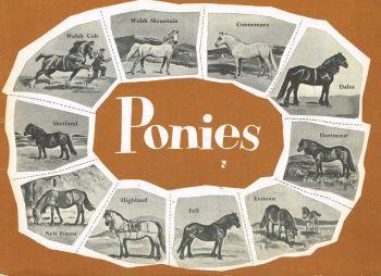 Ponies - R. S. Summerhays - copertina
