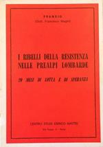 I ribelli della Resistenza nelle prealpi lombarde 20 mesi di lotta e di speranza