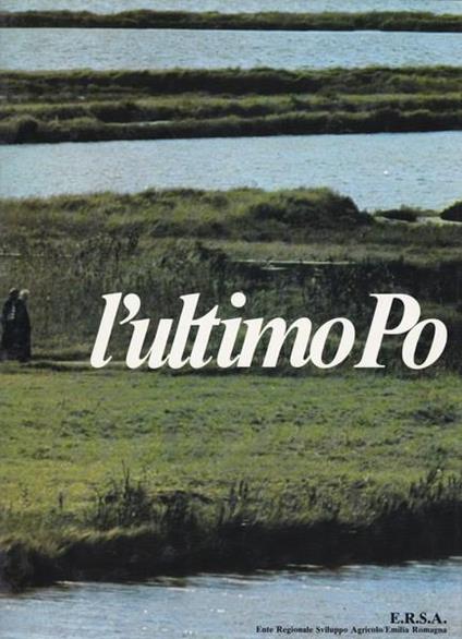 L' ultimo Po - Mario Rebeschini - copertina