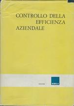 Controllo Della Efficienza Aziendale