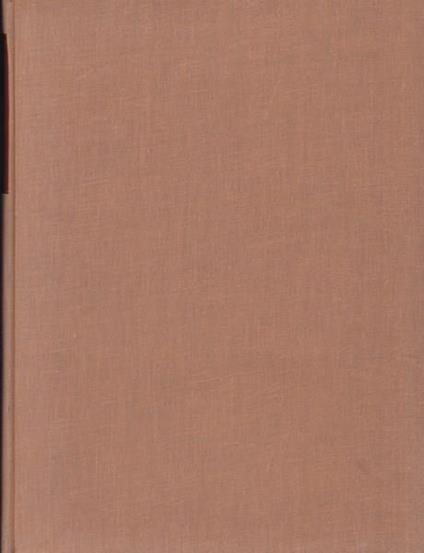 Gli ammortamenti: principi, tecniche, applicazioni - Francesco Santagostino - copertina