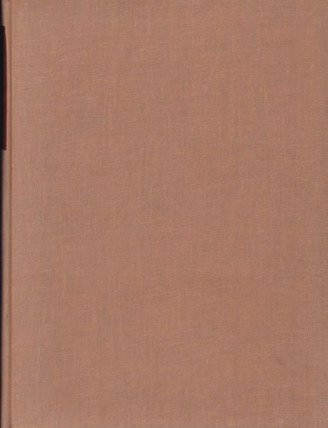 Gli ammortamenti: principi, tecniche, applicazioni - Francesco Santagostino - copertina