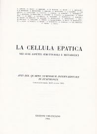 Librisaggi