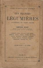 Les Plantes Legumieres Cultivees En Plen Champ