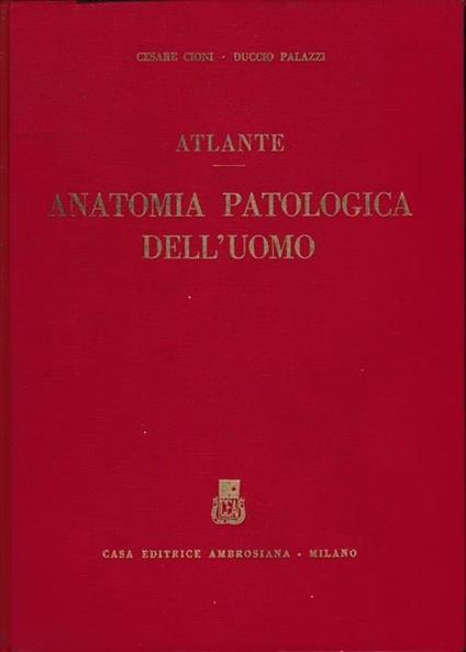 Atlante. Anatomia patologica dell'uomo - Cesare Cioni - copertina