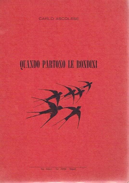 Quando partono le rondini - Carlo Ascolese - copertina