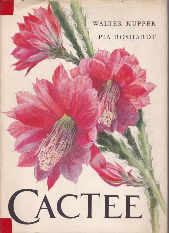 Libreria del Professore