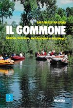 Gommone. Storia, tecnica, evoluzione e impiego