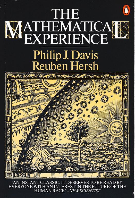 mathematical experience - copertina