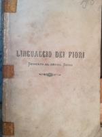 Linguaggio dei fiori dedicato al gentil sesso