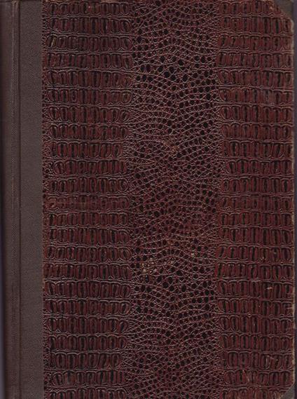 Cemento armato - Adriano Bagnasco - copertina